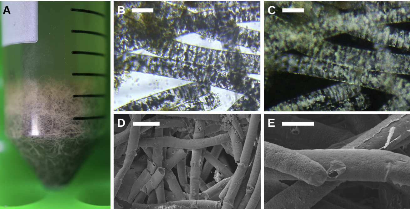 Investigación chilena propone nuevo enfoque  para evaluación ambiental en salmonicultura